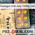 Kamagra Oral Jelly 100Mg Use new06